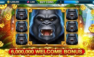 bcb slot